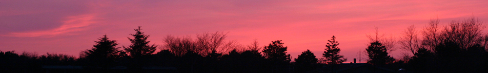 Solnedgang Lyngs